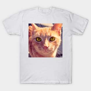 Cute Cat T-Shirt